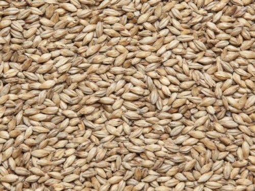Пшеничная водка по домашнему - 2 способа и три рецепта | Самогонъ-Б12 | Дзен
